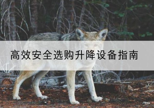 大荔升降货梯厂家推荐-*安全选购升降设备指南