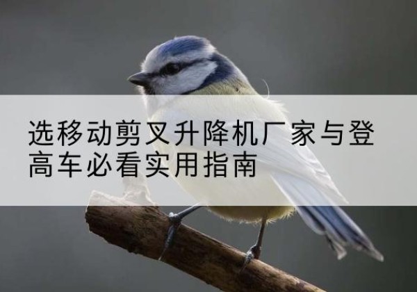 大荔电动升降机厂家-选移动剪叉升降机厂家与登高车必看实用指南