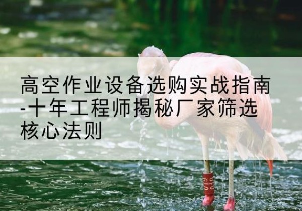 大荔剪叉式升降机厂家-高空作业设备选购实战指南-十年工程师揭秘厂家筛选核心法则